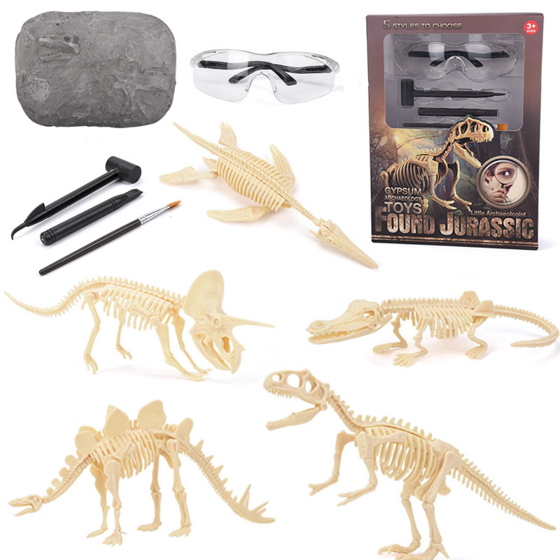Model Kit Girls - 恐竜化石発掘キット STEM 恐竜骨格模型発掘おもちゃ 男の子と女の子のための教育科学ギフト